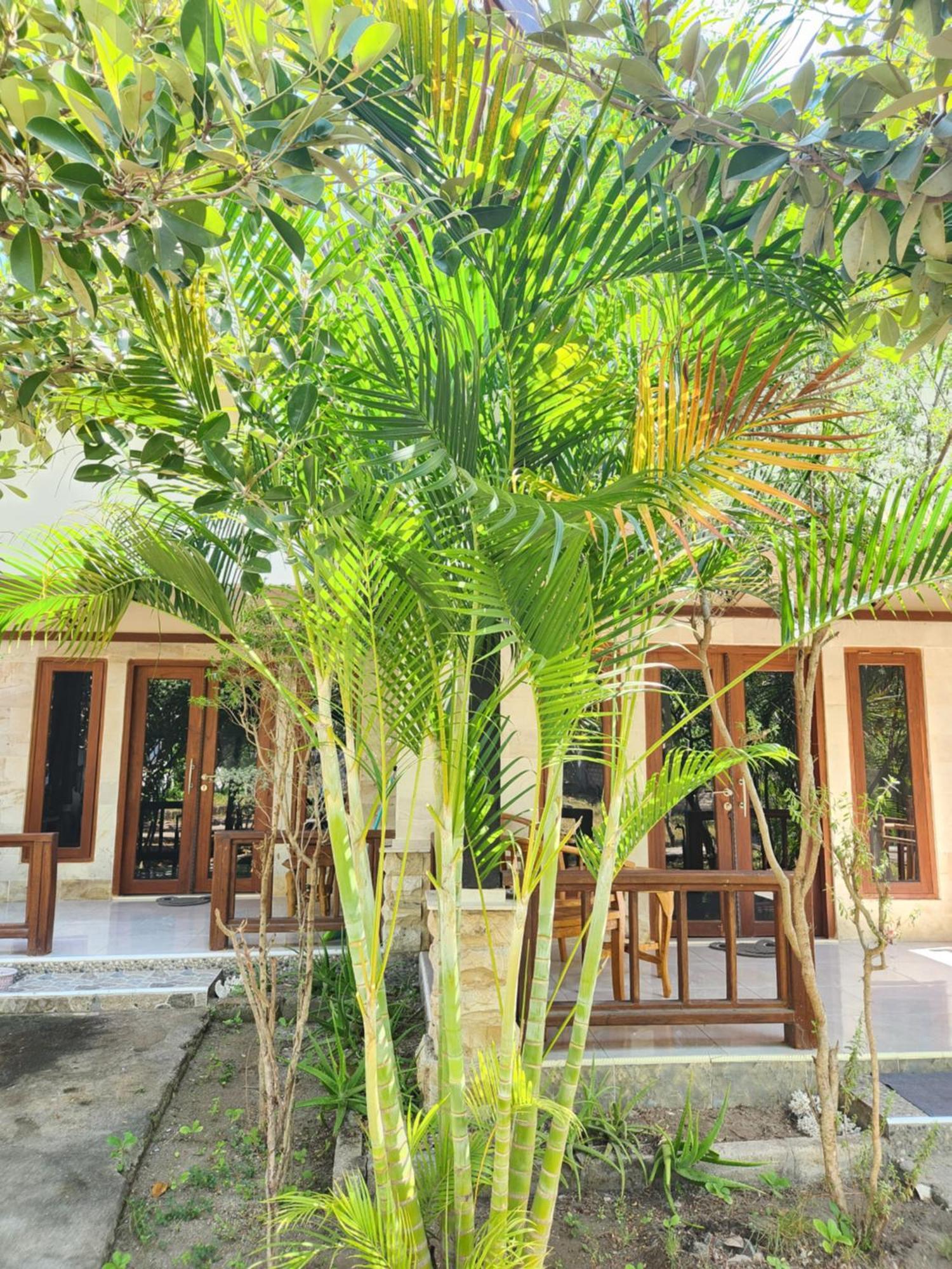 Appartement Run Gilis à Gili Meno Extérieur photo