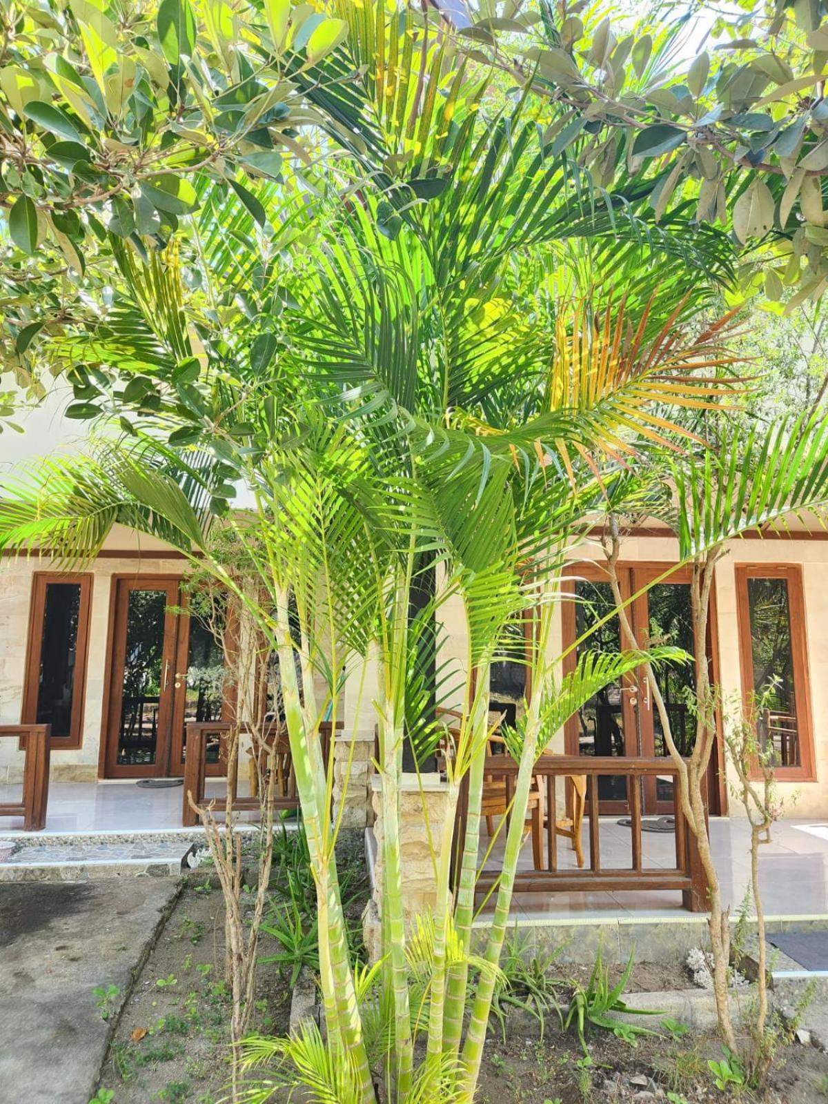 Appartement Run Gilis à Gili Meno Extérieur photo